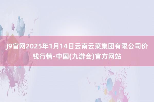 J9官网2025年1月14日云南云菜集团有限公司价钱行情-中国(九游会)官方网站